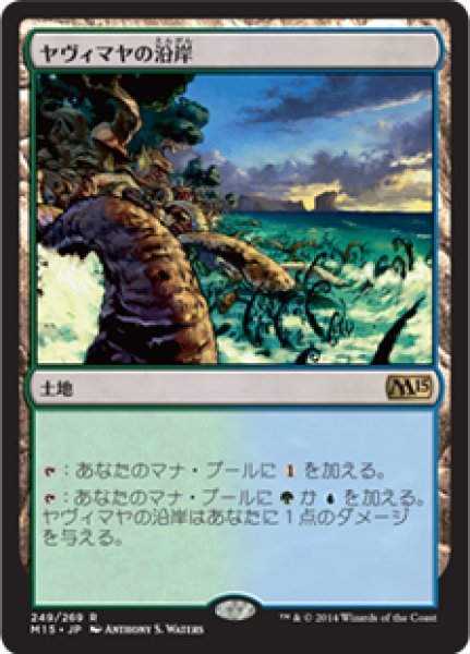 画像1: 【JPN】【Foil】《ヤヴィマヤの沿岸/Yavimaya Coast》[M15] (1)