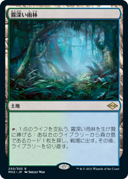 画像1: 【JPN】《霧深い雨林/Misty Rainforest》[MH2] (1)