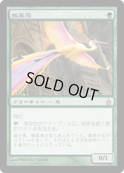 画像1: 【JPN】《極楽鳥/Birds of Paradise》[RAV] (1)