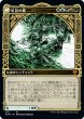 画像2: 【JPN】■ショーケース■《樹の神、エシカ/Esika, God of the Tree》[KHM] (2)