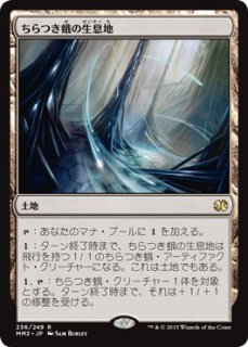 green_suns_zenith_jp_72l3kau3z