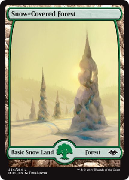 画像1: 【ENG】【Foil】《冠雪の森/Snow-Covered Forest》[MH1] (1)