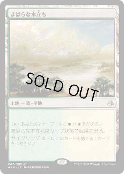 画像1: 【JPN】【Foil】《まばらな木立ち/Scattered Groves》[AKH] (1)