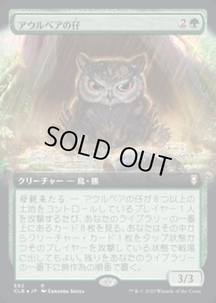 画像1: 【JPN】【Foil】■拡張アート■《アウルベアの仔 /Owlbear Cub》[CLB] (1)