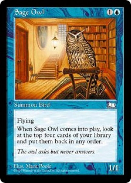 画像1: 【ENG】《物知りフクロウ/Sage Owl》[WTH] (1)