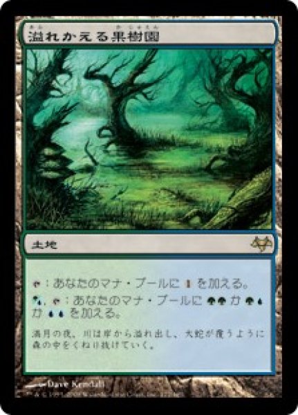 画像1: 【JPN】【Foil】《溢れかえる果樹園/Flooded Grove》[EVE] (1)