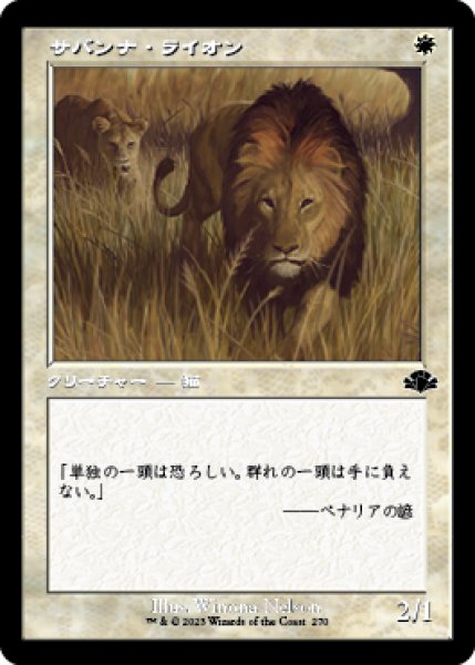 画像1: 【JPN】【Foil】■旧枠■《サバンナ・ライオン/Savannah Lions》[DMR] (1)