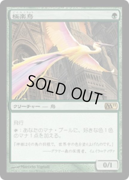 画像1: 【JPN】《極楽鳥/Birds of Paradise》[M11] (1)