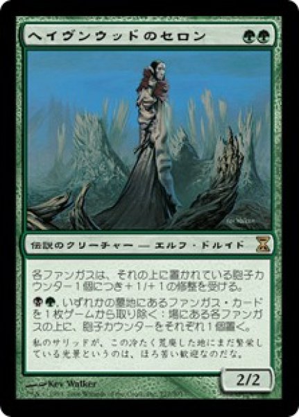 画像1: 【JPN】【Foil】《ヘイヴンウッドのセロン/Thelon of Havenwood》[TSP] (1)