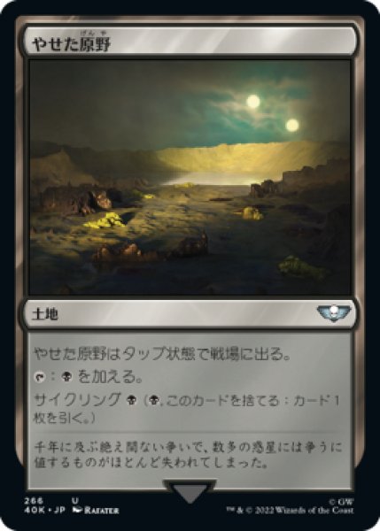 画像1: 【JPN】《やせた原野/Barren Moor》[40K] (1)