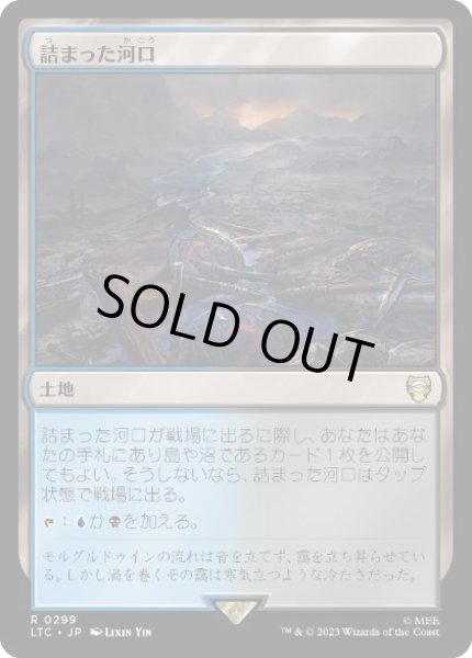 画像1: 【JPN】《詰まった河口/Choked Estuary》[LTC] (1)