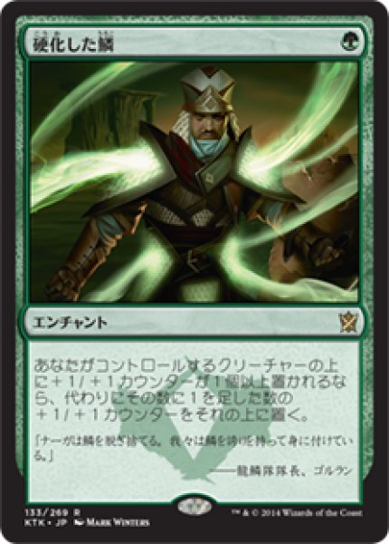 画像1: 【JPN】《硬化した鱗/Hardened Scales》[KTK] (1)