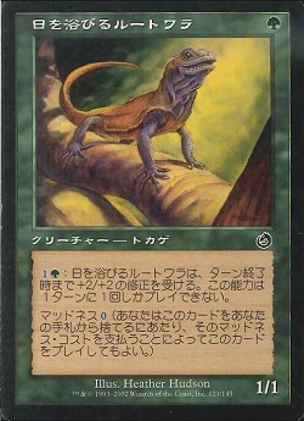 画像1: 【JPN】《日を浴びるルートワラ/Basking Rootwalla》[TOR] (1)