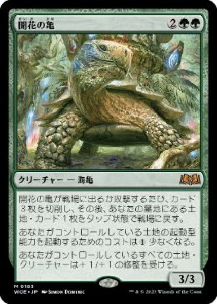 画像1: 【JPN】《開花の亀/Blossoming Tortoise》[WOE] (1)