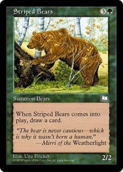画像1: 【ENG】《シマクマ/Striped Bears》[WTH] (1)