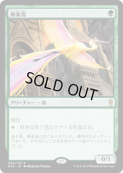 画像1: 【JPN】《極楽鳥/Birds of Paradise》[GK2-RG]  (1)