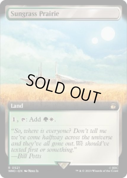 画像1: 【ENG】■拡張アート■《サングラスの大草原/Sungrass Prairie》[WHO] (1)