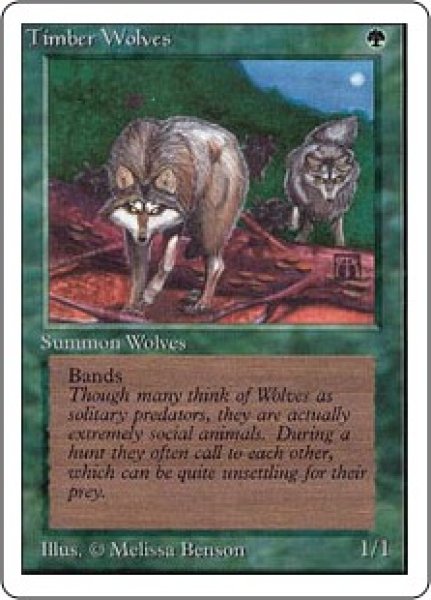 画像1: 【ENG】《森林狼/Timber Wolves》[2ED] (1)