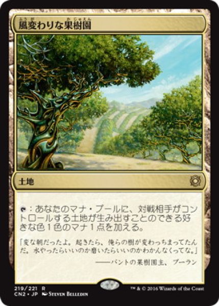画像1: 【JPN】【Foil】《風変わりな果樹園/Exotic Orchard》[CN2] (1)