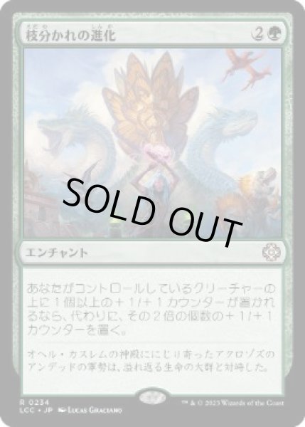 画像1: 【JPN】《枝分かれの進化/Branching Evolution》[LCC] (1)