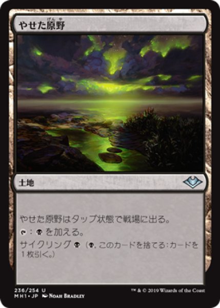 画像1: 【JPN】【Foil】《やせた原野/Barren Moor》[MH1] (1)