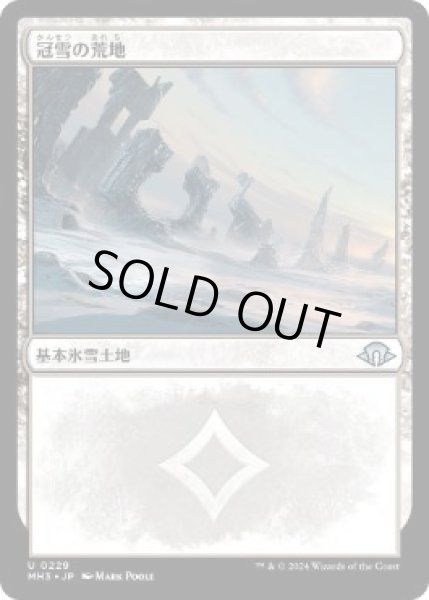 画像1: 【JPN】【Foil】《冠雪の荒地/Snow-Covered Wastes》[MH3] (1)
