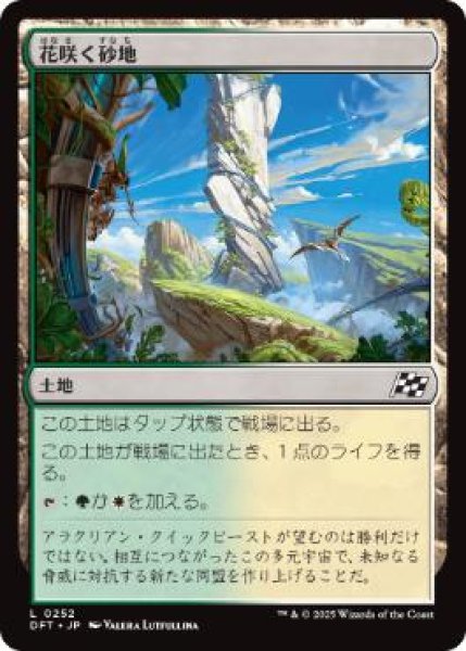 画像1: 【JPN】《花咲く砂地/Blossoming Sands》[DFT] (1)