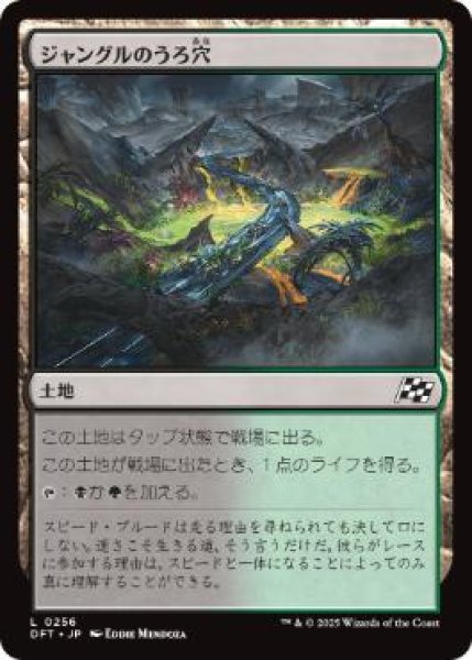 画像1: 【JPN】《ジャングルのうろ穴/Jungle Hollow》[DFT] (1)