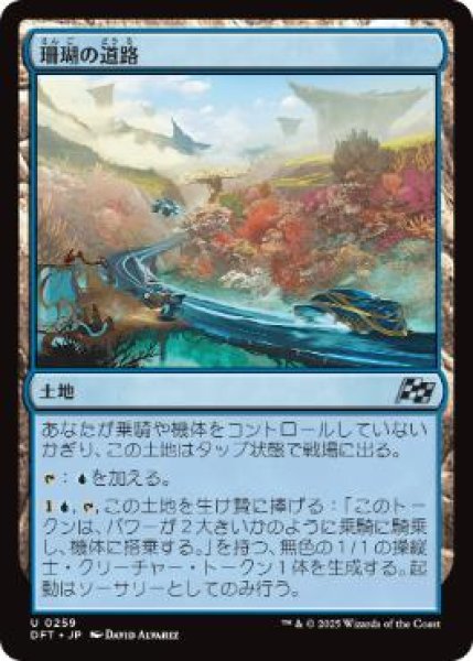 画像1: 【JPN】《珊瑚の道路/Reef Roads》[DFT] (1)
