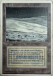 画像1: 【ITA】《Tundra》Damaged [3ED] (1)