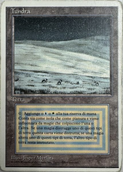 画像1: 【ITA】《Tundra》Damaged [3ED] (1)