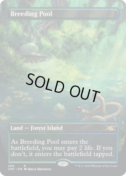 MTG【Foil/日】繁殖池/Breeding Pool Yahoo!フリマ（旧）+lfwo-dz.net